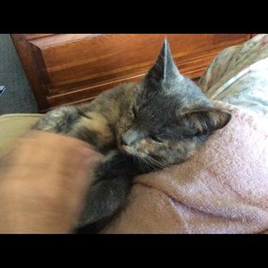 Meet your Posher, Kathy